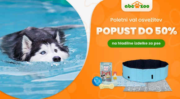 abc zoo kupon