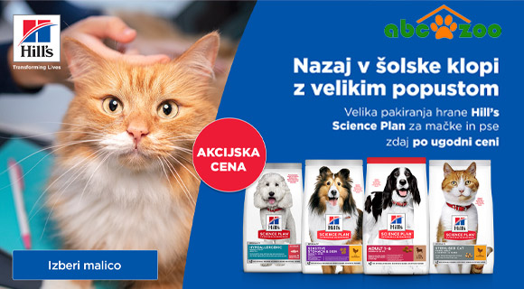 abc zoo kupon