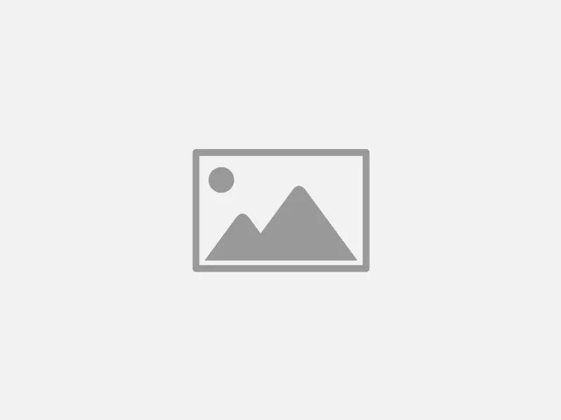 Homepage_brand.logo
