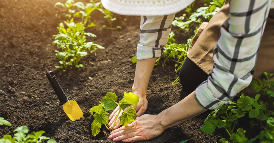 delo na vrtu spomladi